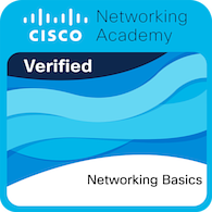 Networking Basics badge